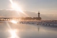 De Pier van Scheveningen