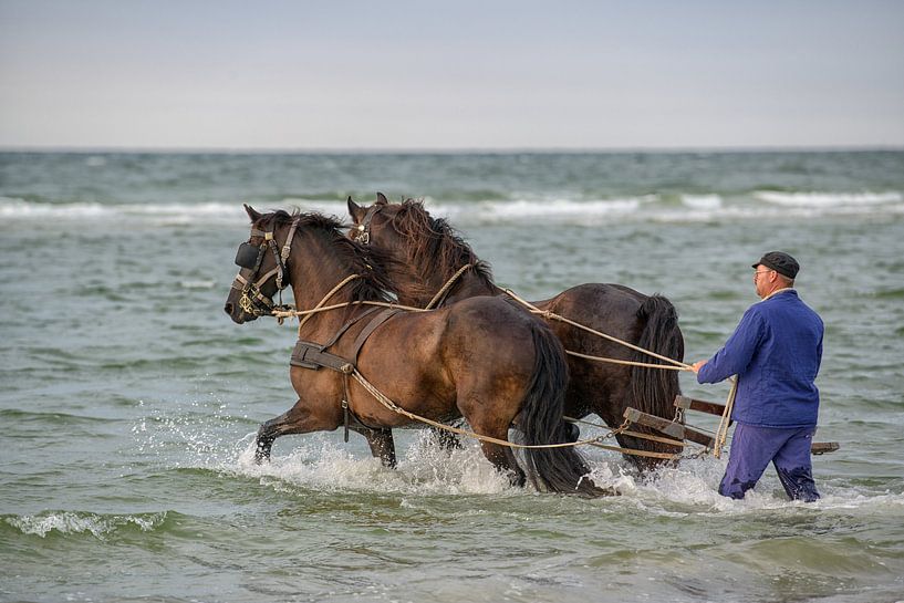 Roeireddingboot Terschelling par Roel Ovinge