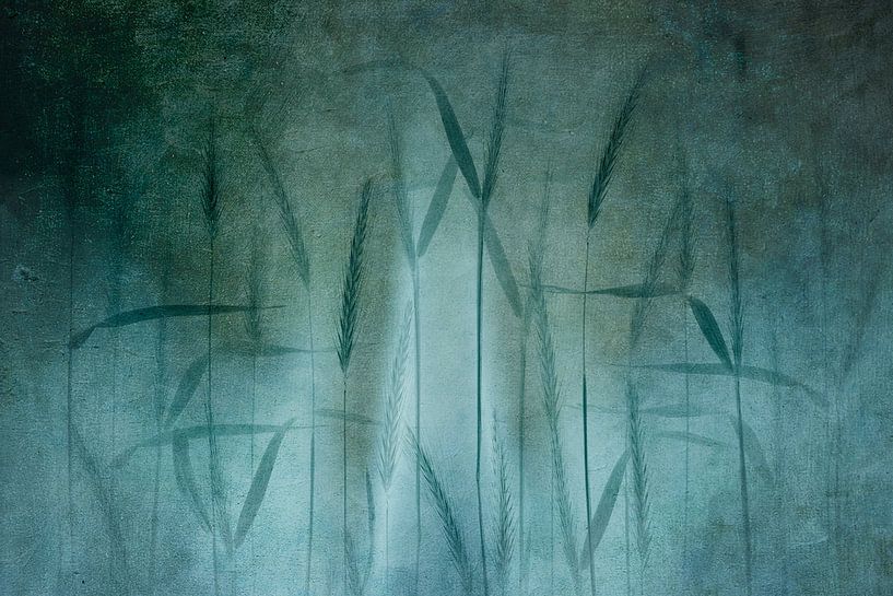 Céréales fantaisistes par Greetje van Son