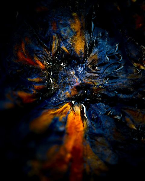 L'éveil (l'éveil du lion) par Jenco van Zalk