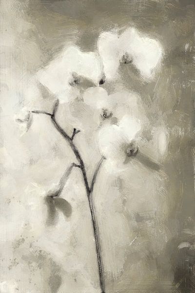 Weiße Orchidee | Taupe von Kanzo