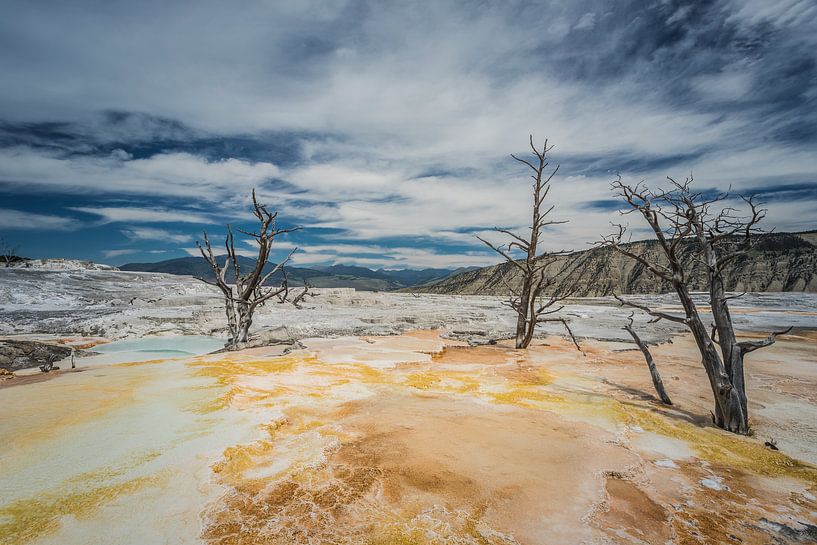 Les sources d'eau chaude de Mammouth Yellowstone par Harold van den Hurk