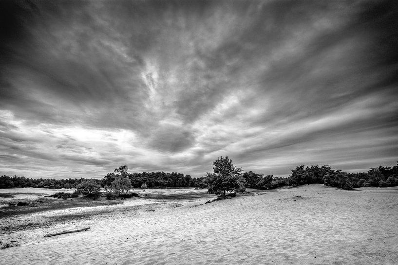 Kootwijkerzand by nol ploegmakers