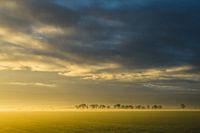 LANDSCHAFT AM MORGEN