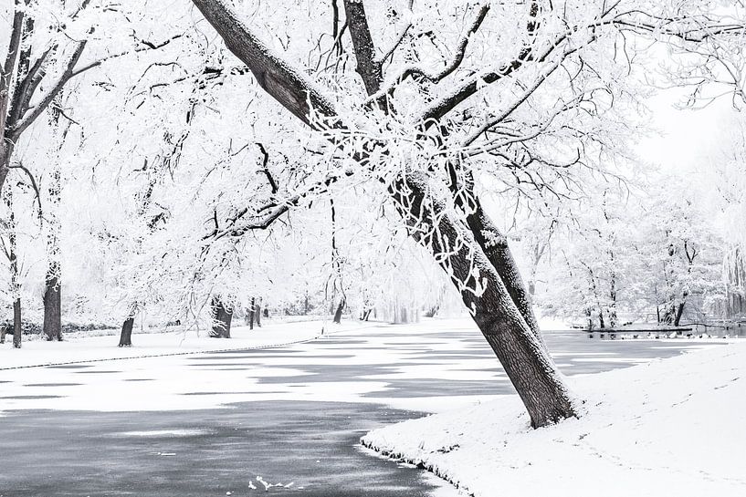 Paysage d'hiver gelé dans le parc de la ville de Kampen par Sjoerd van der Wal Photographie