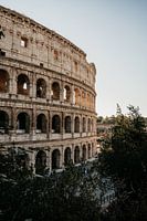 Colisée au coucher du soleil