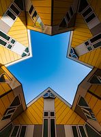 The Blaak Forest, the blockhouses of Rotterdam