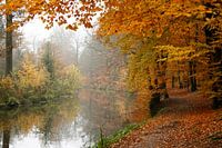 herfst landschap