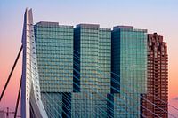 Le pont Erasmus au coucher du soleil