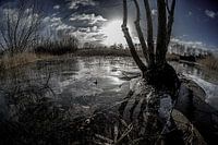 Winter sun by the water