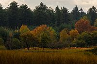 Limburg "the Landscape".