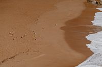 Plage de l'Algarve avec mouettes et vagues