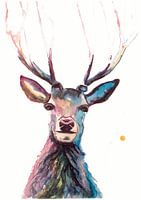 Impression d'un cerf, oiseau spécial, illustration d'un animal de la forêt