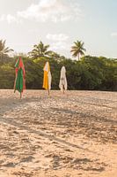 sonniger Strand mit 3 Sonnenschirmen und tropischem Wald | Brasilien | Reisefotografie