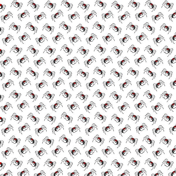 Latrodectus hasseltii by Grüntyers .