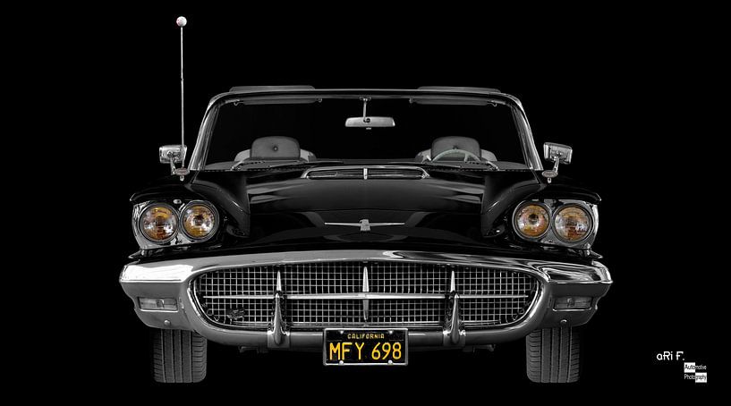 Ford Thunderbird 2rd Square Bird par aRi F. Huber