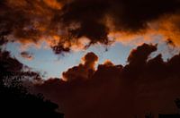 Ewige ephemere Schönheit