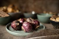 Hyazinthe auf Tonschale | bildende Kunst Stillleben Farbfotografie | Wandkunst drucken