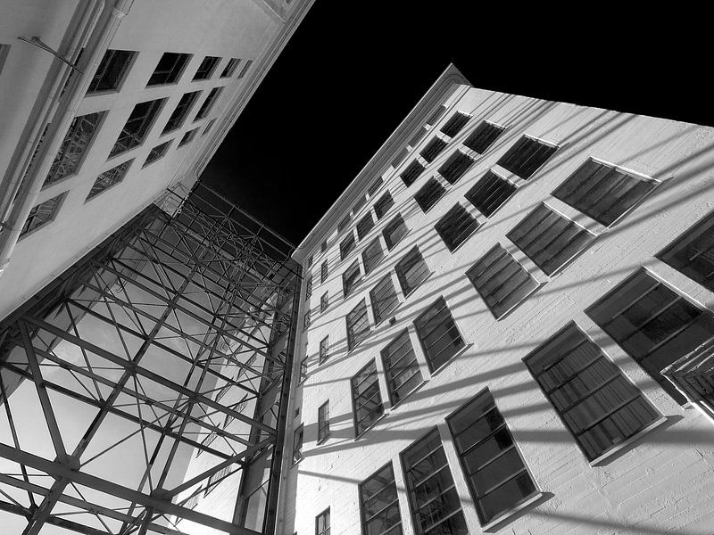 Strong-S par Ton Buijs