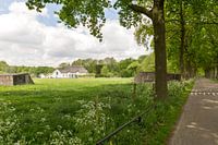 Le printemps sur Rhijnauwen