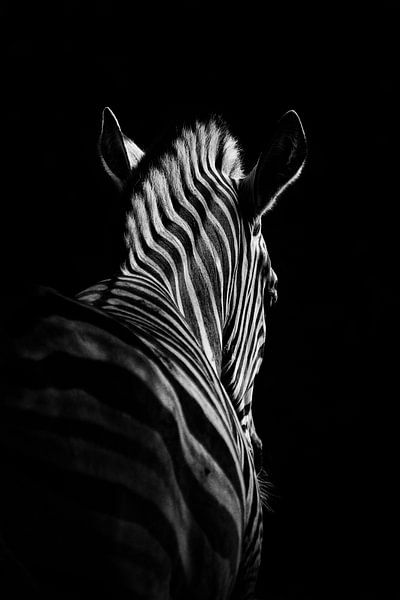 Stepping Down #6 von Christian Meermann