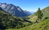 Paysage alpin en Suisse