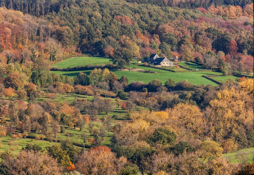 Enjoy the autumn of 2020 in South Limburg by John Kreukniet