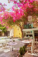 Summer time in Greece, colourful terrace with bougainvillea