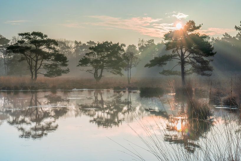 Hoogerheide Sunrise. by Ivo Schut Fotografie