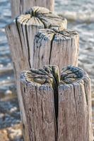 Detail der Pfahlköpfe von Zeeland