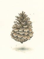 Schwimmender Tannenzapfen
