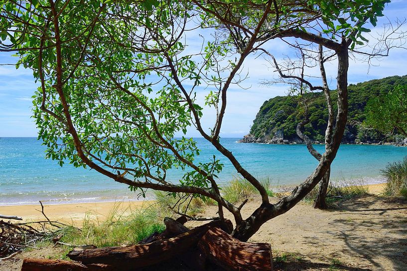 La baie de Te Pukatea depuis la table de pique-nique par Frank's Awesome Travels