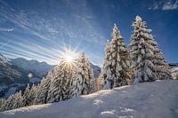 Sonne und Neuschnee in den Bergen von Österreich