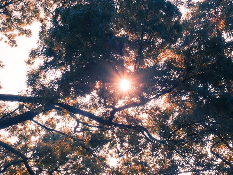 Autumn light by Pensierino by Barbara