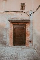 Travel photography - Door in street Marakkech