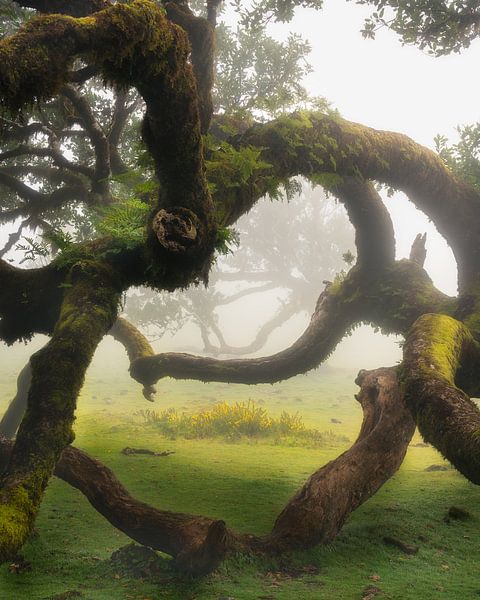 Hors du commun par Arda Acar