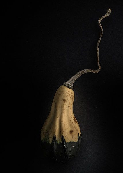 Gourdes No 12 Version couleur par The Learning Curve Photography