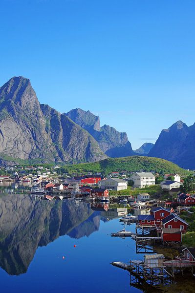 Aussicht auf den Reinefjorden von Reinhard  Pantke