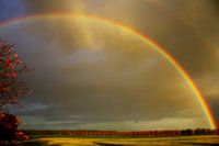 Autumn rainbow