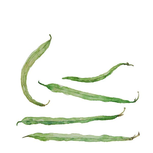 Green Beans, watercolorpainting by Studio Heyki