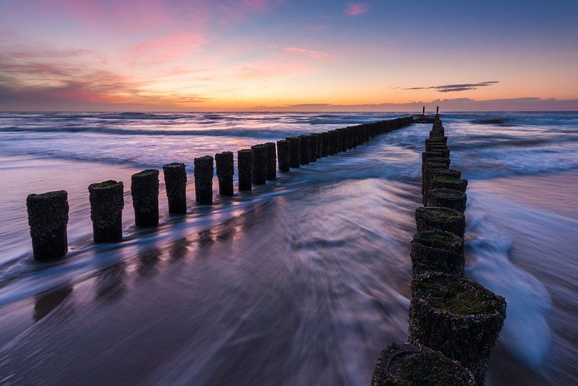 Polehead par Gijs Koole