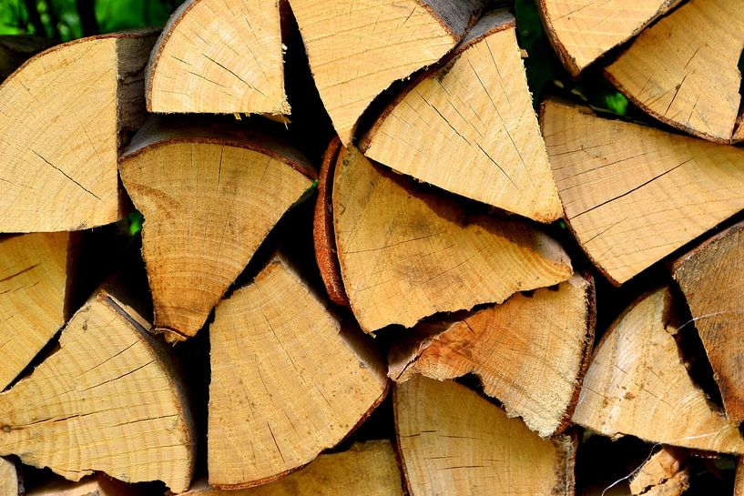 Firewood for the winter by Heiko Kueverling