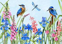 Iceland birds wild flowers