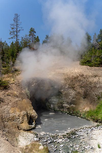 Thermal hot spring in Yellowstone National Park, USA by Jeroen van Deel