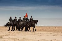 Cavalerie paarden op strand