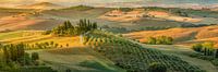Tuscany landscape in Italy with beautiful country house / farm