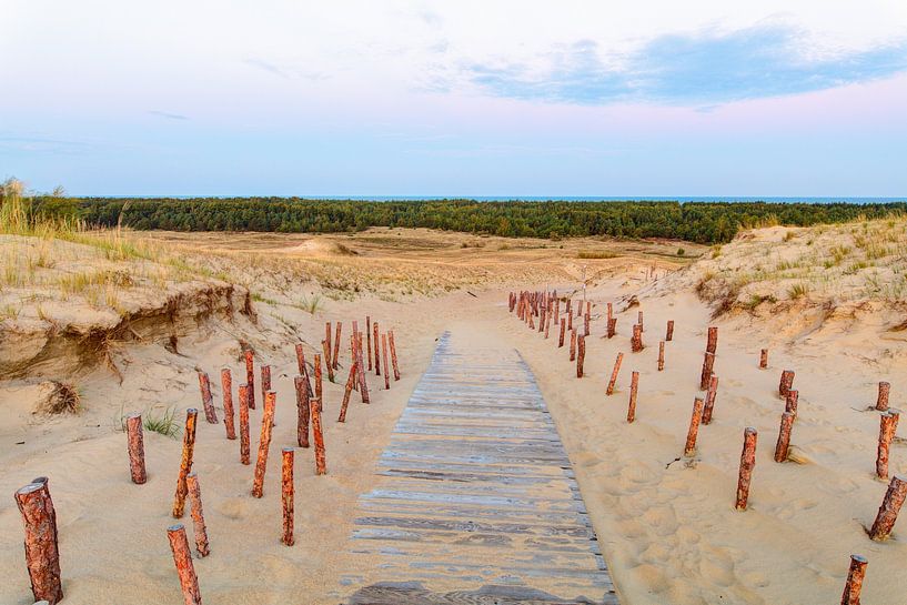Wooden path in the sandy dunes by Yevgen Belich