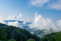 Morgenstimmung im Schwarzwald Luftaufnahme über Bäume