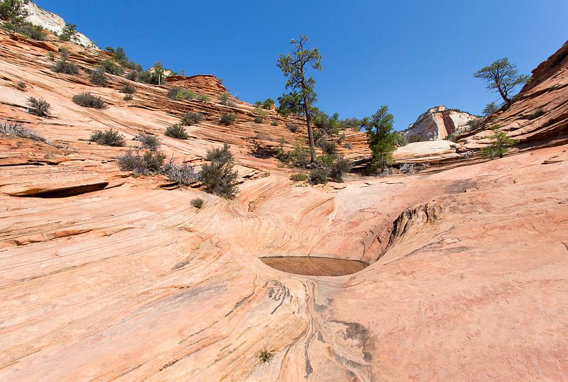 Zion by Antwan Janssen