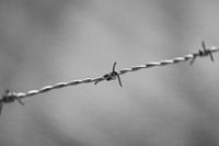 Minimalistischer Stacheldraht